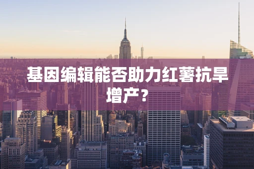 基因编辑能否助力红薯抗旱增产？