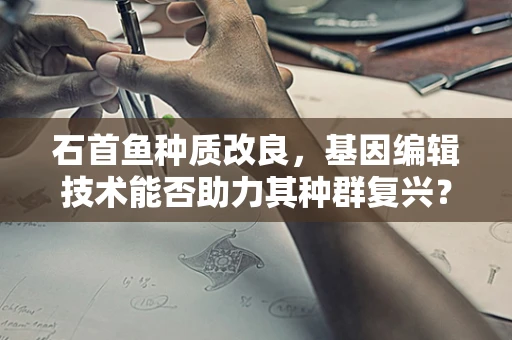 石首鱼种质改良，基因编辑技术能否助力其种群复兴？