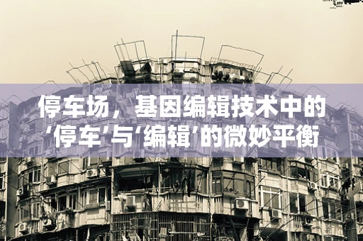 停车场，基因编辑技术中的‘停车’与‘编辑’的微妙平衡？