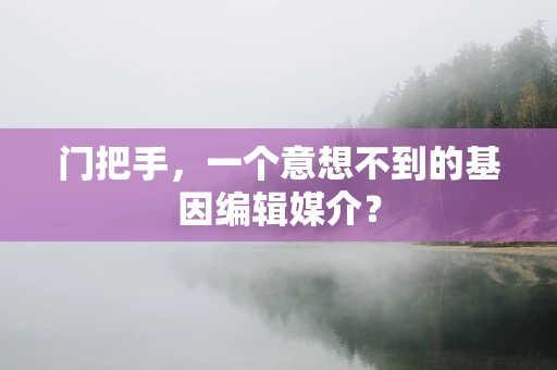门把手，一个意想不到的基因编辑媒介？