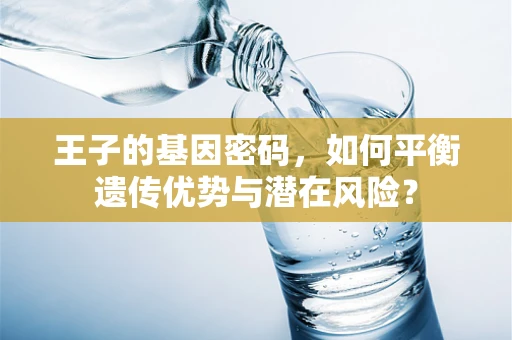王子的基因密码，如何平衡遗传优势与潜在风险？