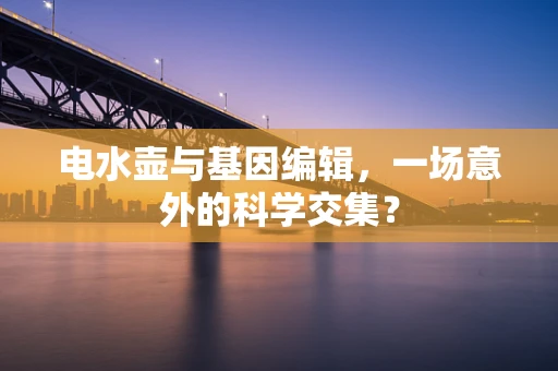 电水壶与基因编辑，一场意外的科学交集？
