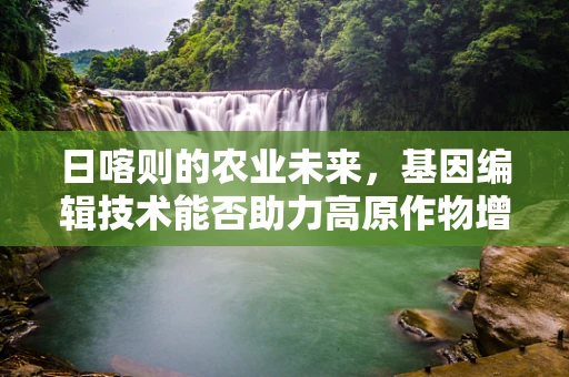 日喀则的农业未来，基因编辑技术能否助力高原作物增产？