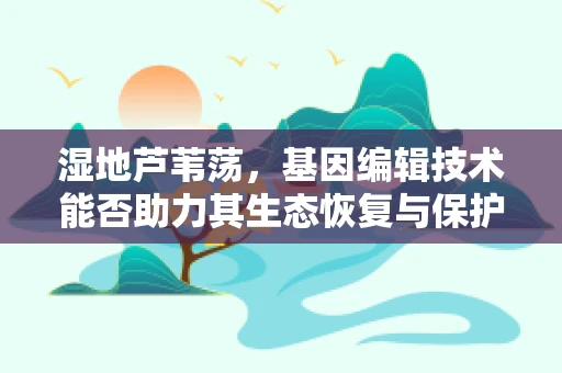 湿地芦苇荡，基因编辑技术能否助力其生态恢复与保护？