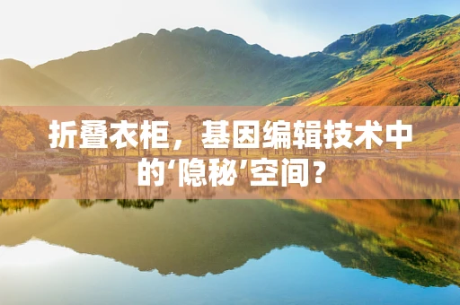 折叠衣柜，基因编辑技术中的‘隐秘’空间？