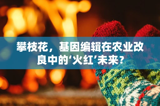 攀枝花，基因编辑在农业改良中的‘火红’未来？