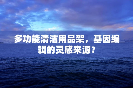 多功能清洁用品架，基因编辑的灵感来源？