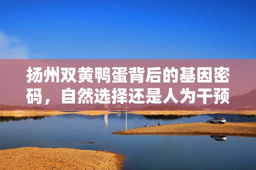 扬州双黄鸭蛋背后的基因密码，自然选择还是人为干预？