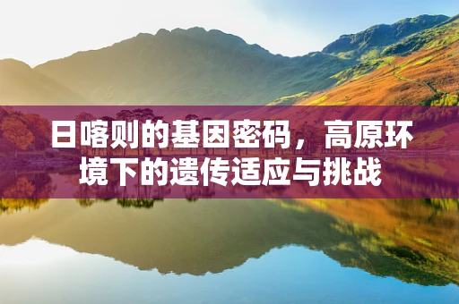 日喀则的基因密码，高原环境下的遗传适应与挑战