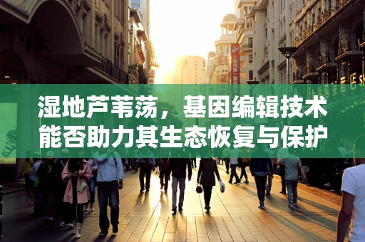 湿地芦苇荡，基因编辑技术能否助力其生态恢复与保护？
