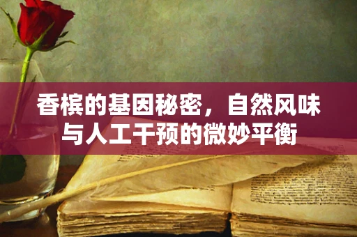 香槟的基因秘密，自然风味与人工干预的微妙平衡