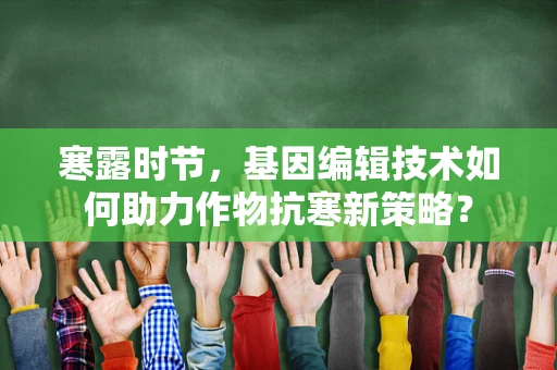 寒露时节，基因编辑技术如何助力作物抗寒新策略？