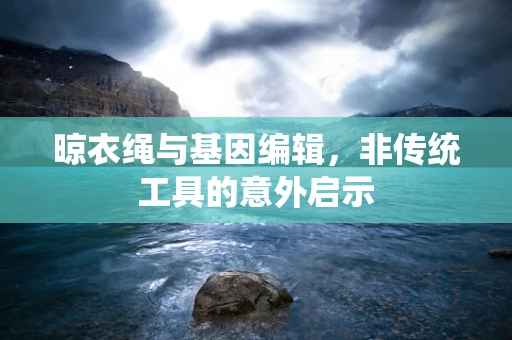 晾衣绳与基因编辑，非传统工具的意外启示