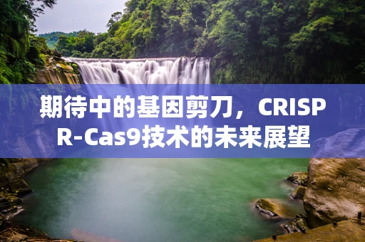 期待中的基因剪刀，CRISPR-Cas9技术的未来展望