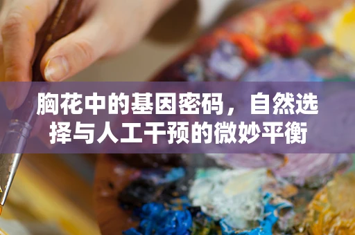 胸花中的基因密码，自然选择与人工干预的微妙平衡