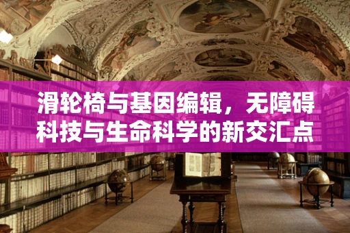 滑轮椅与基因编辑，无障碍科技与生命科学的新交汇点