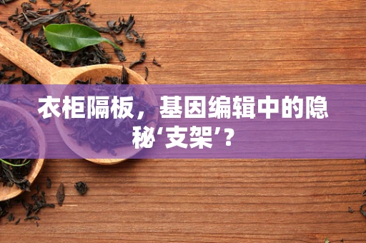 衣柜隔板，基因编辑中的隐秘‘支架’？