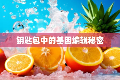 钥匙包中的基因编辑秘密