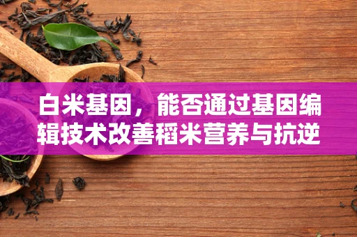 白米基因，能否通过基因编辑技术改善稻米营养与抗逆性？