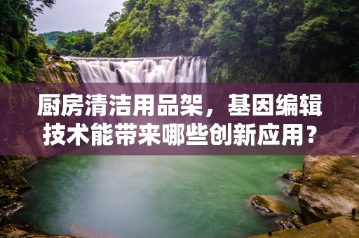 厨房清洁用品架，基因编辑技术能带来哪些创新应用？