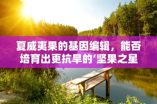 夏威夷果的基因编辑，能否培育出更抗旱的‘坚果之星’？