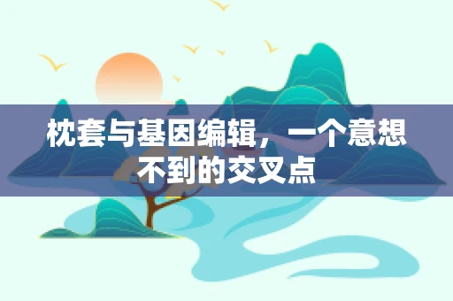 枕套与基因编辑，一个意想不到的交叉点