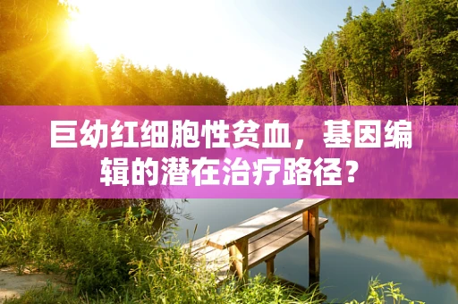 巨幼红细胞性贫血，基因编辑的潜在治疗路径？