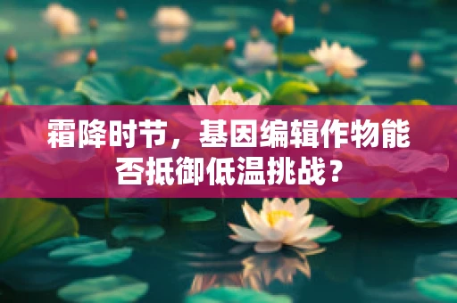 霜降时节，基因编辑作物能否抵御低温挑战？