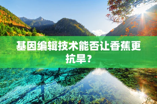 基因编辑技术能否让香蕉更抗旱？