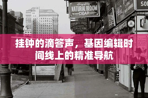 挂钟的滴答声，基因编辑时间线上的精准导航