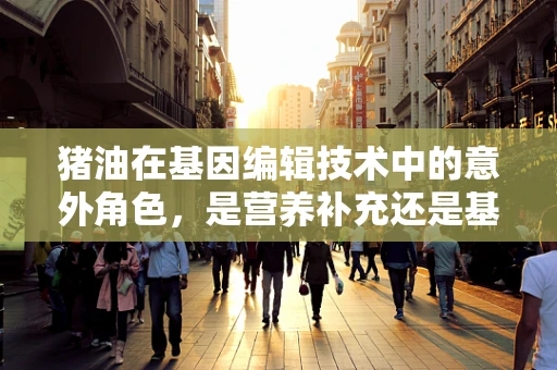 猪油在基因编辑技术中的意外角色，是营养补充还是基因调控的媒介？
