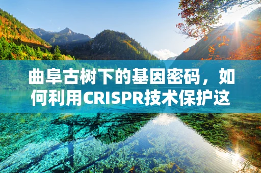 曲阜古树下的基因密码，如何利用CRISPR技术保护这一文化遗产的生物多样性？