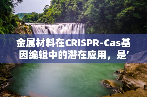 金属材料在CRISPR-Cas基因编辑中的潜在应用，是‘催化剂’还是‘绊脚石’？
