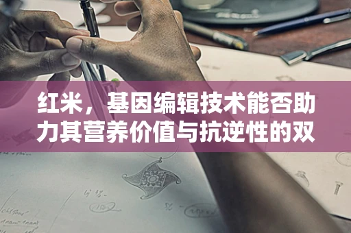 红米，基因编辑技术能否助力其营养价值与抗逆性的双重提升？