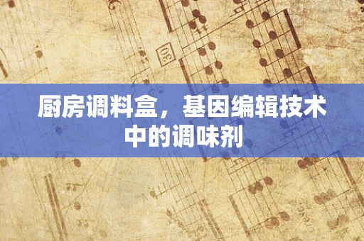 厨房调料盒，基因编辑技术中的调味剂