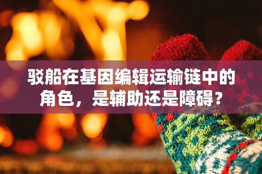 驳船在基因编辑运输链中的角色，是辅助还是障碍？