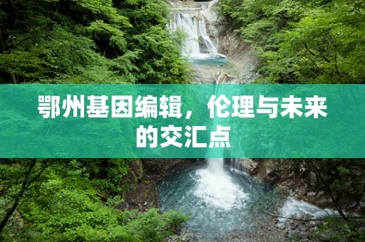 鄂州基因编辑，伦理与未来的交汇点