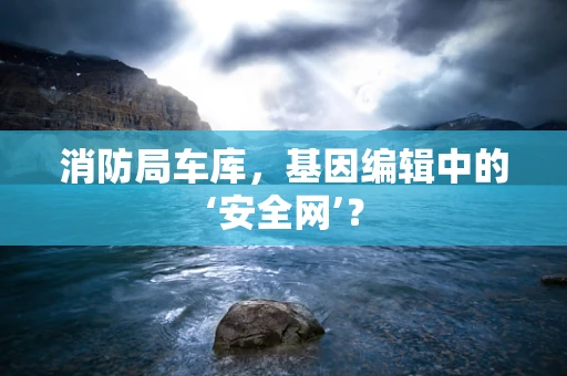 消防局车库，基因编辑中的‘安全网’？