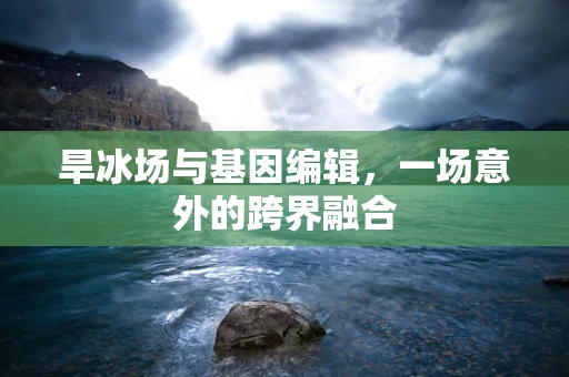旱冰场与基因编辑，一场意外的跨界融合