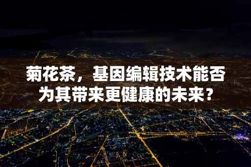 菊花茶，基因编辑技术能否为其带来更健康的未来？