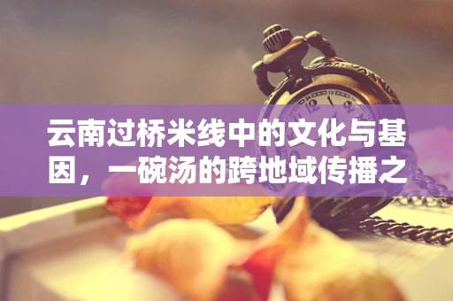 云南过桥米线中的文化与基因，一碗汤的跨地域传播之谜