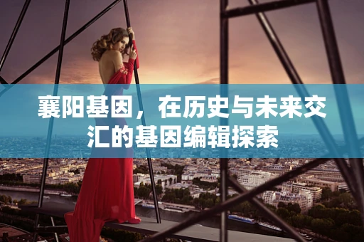 襄阳基因，在历史与未来交汇的基因编辑探索