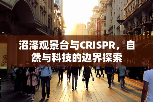 沼泽观景台与CRISPR，自然与科技的边界探索
