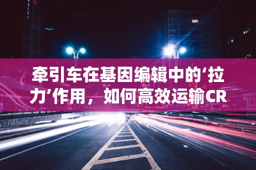 牵引车在基因编辑中的‘拉力’作用，如何高效运输CRISPR-Cas系统？