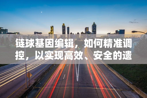 链球基因编辑，如何精准调控，以实现高效、安全的遗传改良？