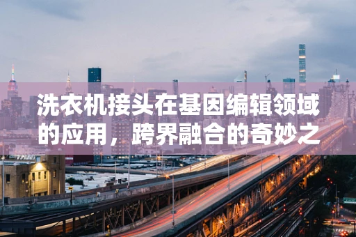 洗衣机接头在基因编辑领域的应用，跨界融合的奇妙之处？