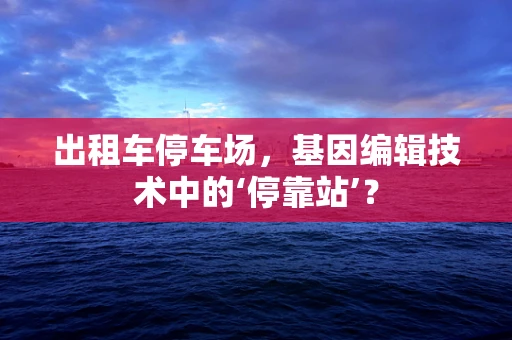 出租车停车场，基因编辑技术中的‘停靠站’？