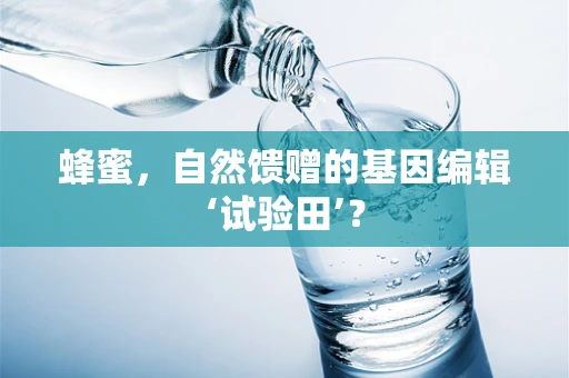 蜂蜜，自然馈赠的基因编辑‘试验田’？
