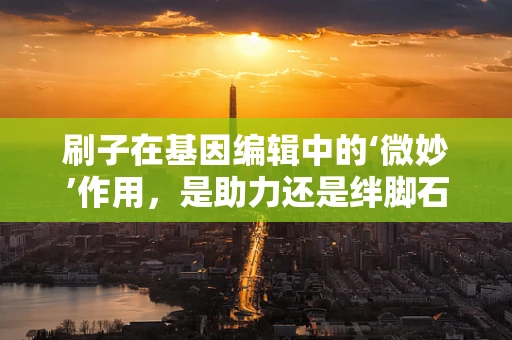 刷子在基因编辑中的‘微妙’作用，是助力还是绊脚石？