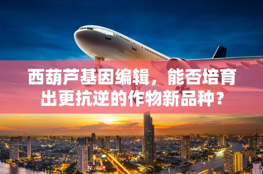 西葫芦基因编辑，能否培育出更抗逆的作物新品种？